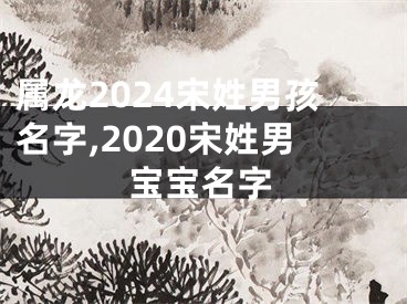 属龙2024宋姓男孩名字,2020宋姓男宝宝名字