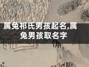 属兔祁氏男孩起名,属兔男孩取名字