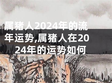 属猪人2024年的流年运势,属猪人在2024年的运势如何