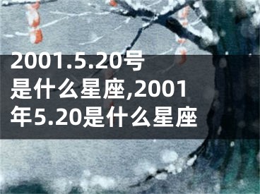 2001.5.20号是什么星座,2001年5.20是什么星座