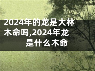 2024年的龙是大林木命吗,2024年龙是什么木命
