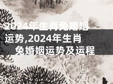 2024年生肖兔婚姻运势,2024年生肖兔婚姻运势及运程