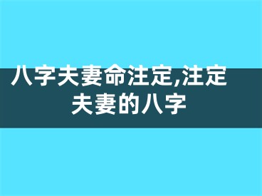 八字夫妻命注定,注定夫妻的八字