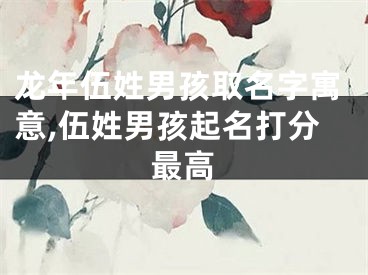 龙年伍姓男孩取名字寓意,伍姓男孩起名打分最高