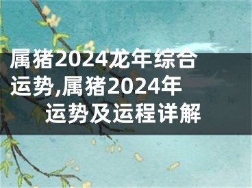 属猪2024龙年综合运势,属猪2024年运势及运程详解