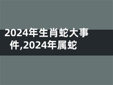 2024年生肖蛇大事件,2024年属蛇