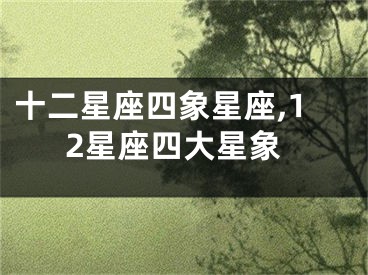 十二星座四象星座,12星座四大星象