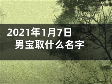  2021年1月7日男宝取什么名字 