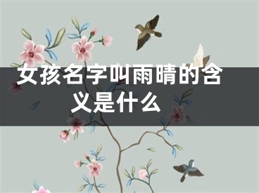  女孩名字叫雨晴的含义是什么 