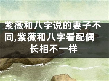 紫薇和八字说的妻子不同,紫薇和八字看配偶长相不一样