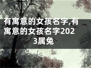 有寓意的女孩名字,有寓意的女孩名字2023属兔