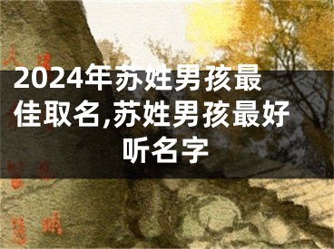 2024年苏姓男孩最佳取名,苏姓男孩最好听名字