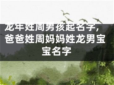 龙年姓周男孩起名字,爸爸姓周妈妈姓龙男宝宝名字