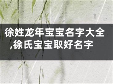 徐姓龙年宝宝名字大全,徐氏宝宝取好名字