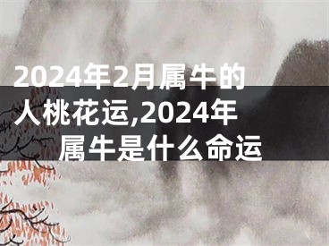 2024年2月属牛的人桃花运,2024年属牛是什么命运