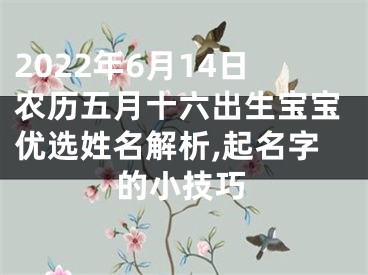 2022年6月14日农历五月十六出生宝宝优选姓名解析,起名字的小技巧