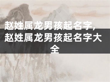 赵姓属龙男孩起名字,赵姓属龙男孩起名字大全