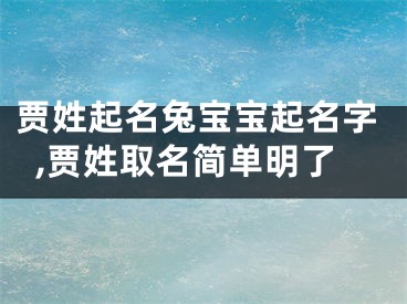 贾姓起名兔宝宝起名字,贾姓取名简单明了