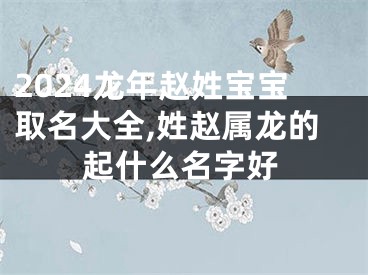 2024龙年赵姓宝宝取名大全,姓赵属龙的起什么名字好