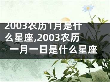 2003农历1月是什么星座,2003农历一月一日是什么星座