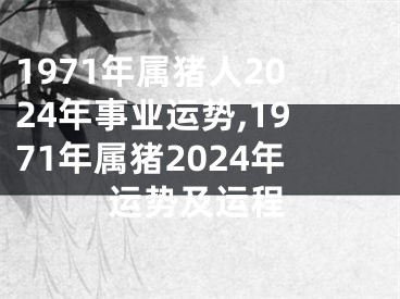 1971年属猪人2024年事业运势,1971年属猪2024年运势及运程