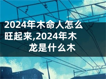 2024年木命人怎么旺起来,2024年木龙是什么木