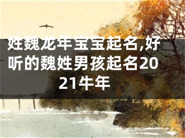 姓魏龙年宝宝起名,好听的魏姓男孩起名2021牛年