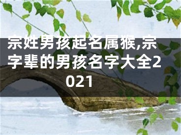 宗姓男孩起名属猴,宗字辈的男孩名字大全2021