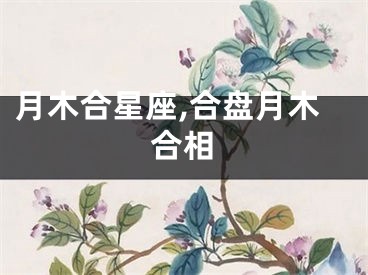 月木合星座,合盘月木合相