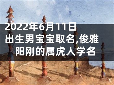 2022年6月11日出生男宝宝取名,俊雅阳刚的属虎人学名