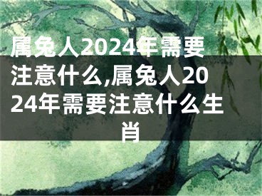 属兔人2024年需要注意什么,属兔人2024年需要注意什么生肖