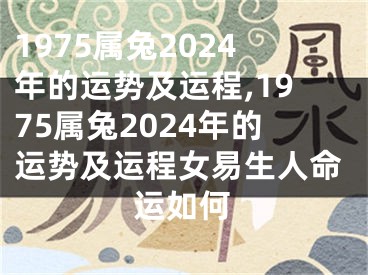 1975属兔2024年的运势及运程,1975属兔2024年的运势及运程女易生人命运如何