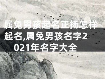 属兔男孩起名正扬怎样起名,属兔男孩名字2021年名字大全