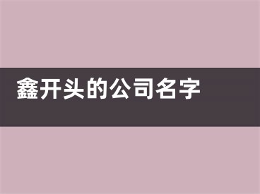  鑫开头的公司名字 