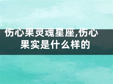 伤心果灵魂星座,伤心果实是什么样的