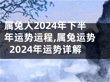 属兔人2024年下半年运势运程,属兔运势2024年运势详解