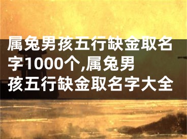 属兔男孩五行缺金取名字1000个,属兔男孩五行缺金取名字大全