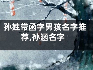 孙姓带函字男孩名字推荐,孙涵名字