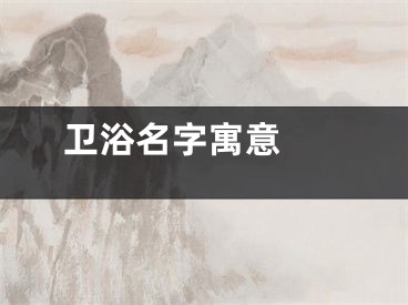  卫浴名字寓意 