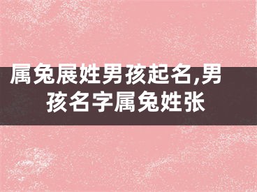 属兔展姓男孩起名,男孩名字属兔姓张