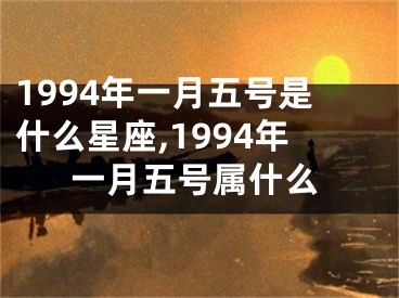 1994年一月五号是什么星座,1994年一月五号属什么