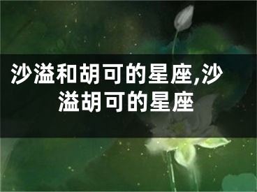 沙溢和胡可的星座,沙溢胡可的星座