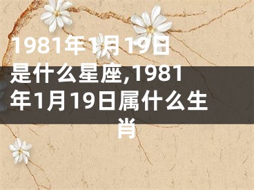 1981年1月19日是什么星座,1981年1月19日属什么生肖