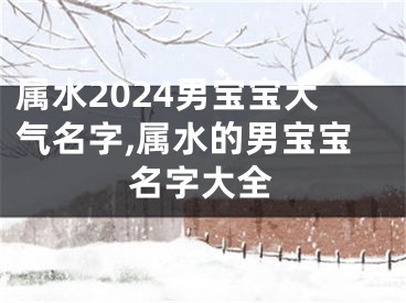 属水2024男宝宝大气名字,属水的男宝宝名字大全