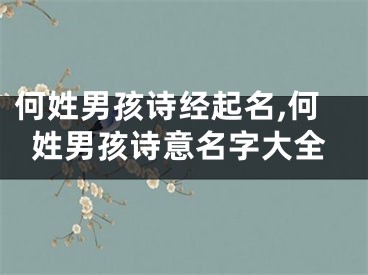 何姓男孩诗经起名,何姓男孩诗意名字大全