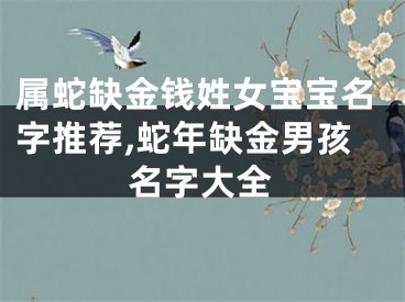 属蛇缺金钱姓女宝宝名字推荐,蛇年缺金男孩名字大全