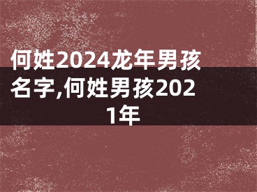 何姓2024龙年男孩名字,何姓男孩2021年