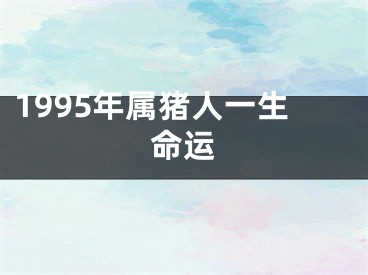 1995年属猪人一生命运