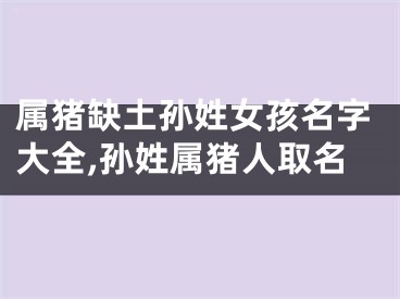 属猪缺土孙姓女孩名字大全,孙姓属猪人取名