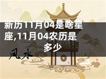 新历11月04是啥星座,11月04农历是多少